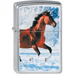 Zippo Horse Galloping